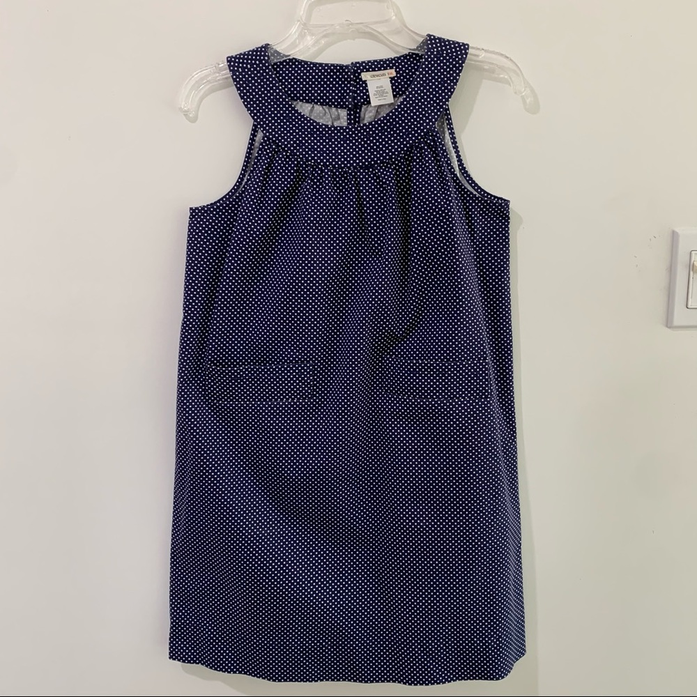 Crewcuts Blue and White Dotted Casual Dress